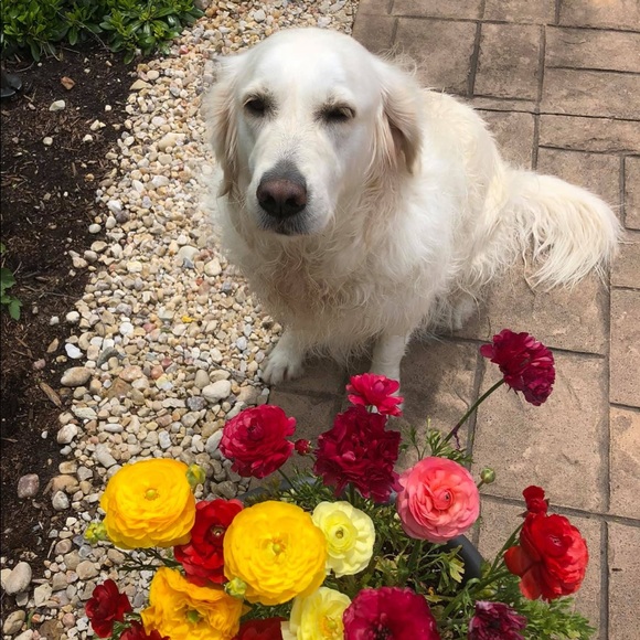 Meet your Posher, Christie - Picture 5 of 6